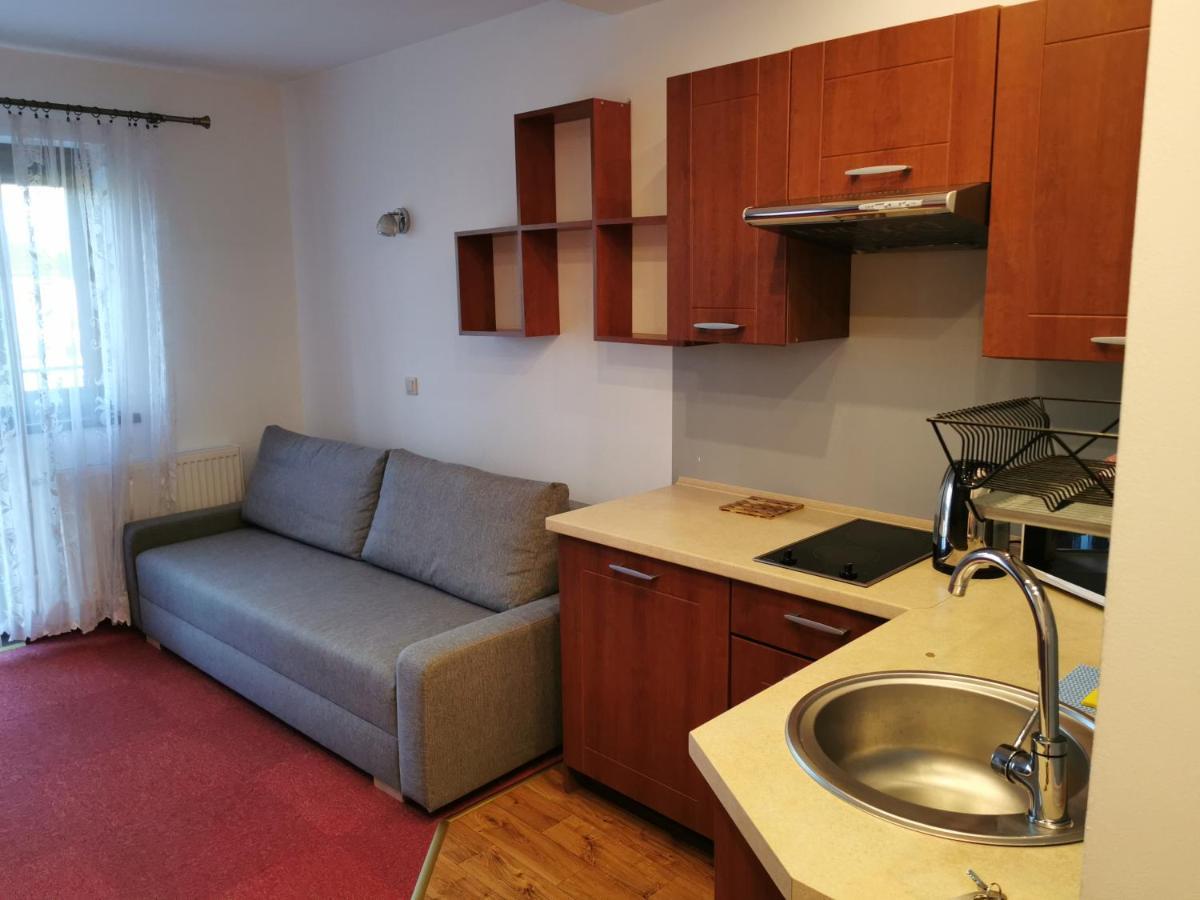Rezydencja Kwiatano - Basen & Jacuzzi & Sauna & Plac Zabaw Grzybowo  Exterior foto